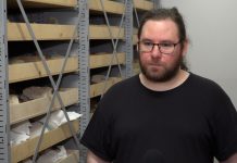 Koronawirusy atakowały już 25 tys. lat temu. Za sprawą postępujących zmian klimatycznych pradawne wirusy mogą znów zagrażać ludzkości